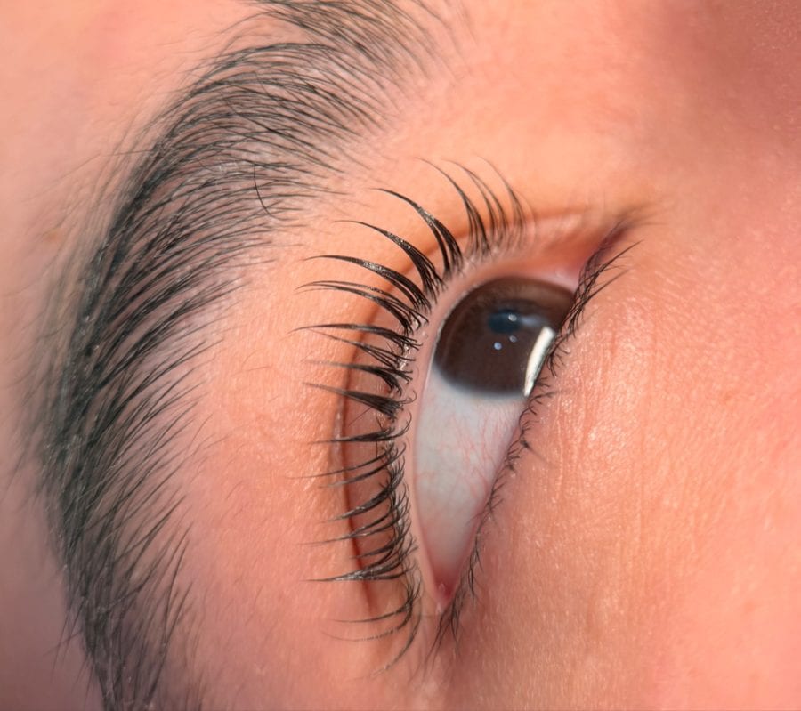 Lashes